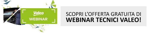 Guarda i nostri webinar!