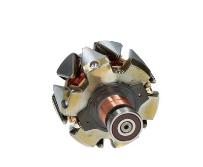 Rotore, Alternatore