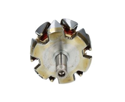 Rotore, Alternatore