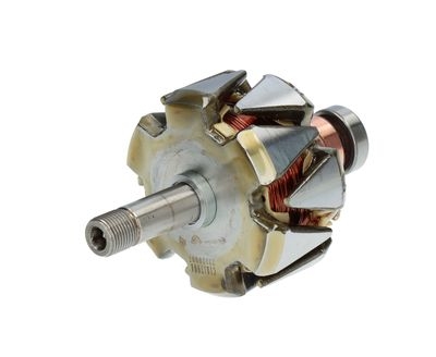 Rotore, Alternatore