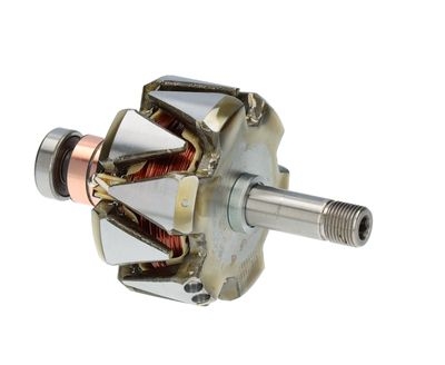 Rotore, Alternatore