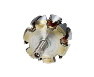 Rotore, Alternatore