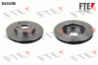 Disco freno COATED RANGE FTE