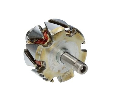 Rotore, Alternatore