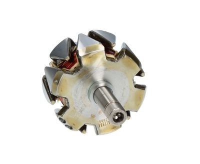 Rotore, Alternatore
