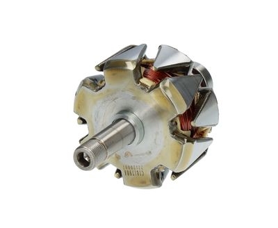 Rotore, Alternatore