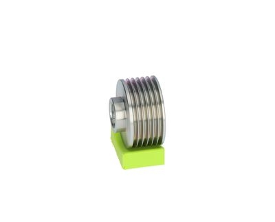 Puleggia cinghia, Alternatore VALEO NEW ORIGINAL SPARE PART